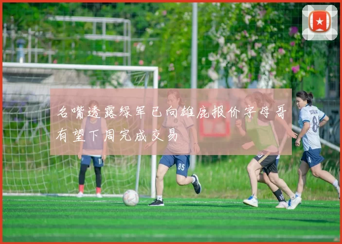 名嘴透露绿军已向雄鹿报价字母哥有望下周完成交易