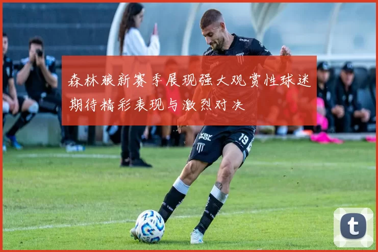 森林狼新赛季展现强大观赏性球迷期待精彩表现与激烈对决